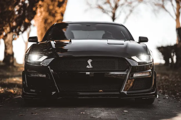 ΠΥΡΕ Καζίνο Εφαρμογή Android/iOS